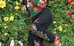 久久爽AV亚洲精品天堂